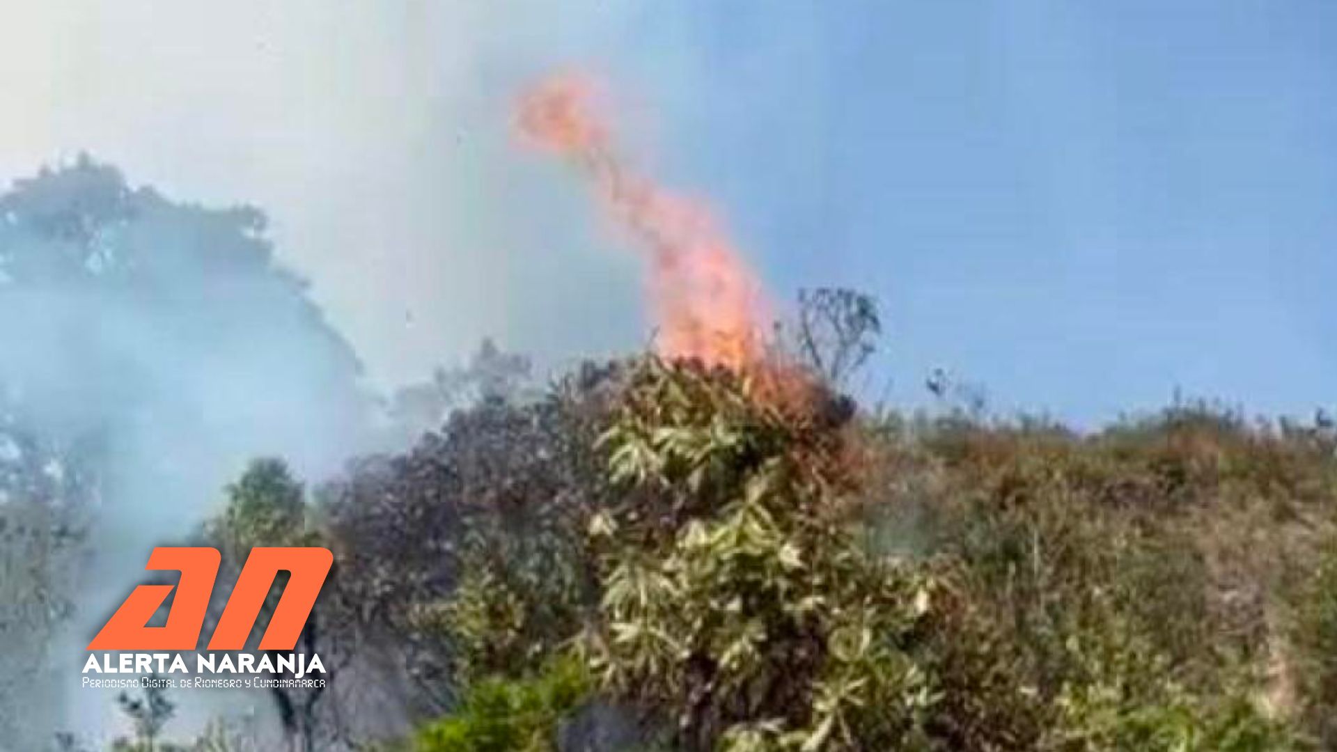 INCENDIO-FORESTAL-BOGOTÁ