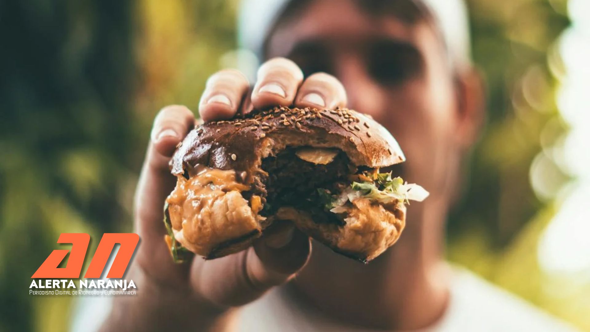 BURGERVILLE (1)